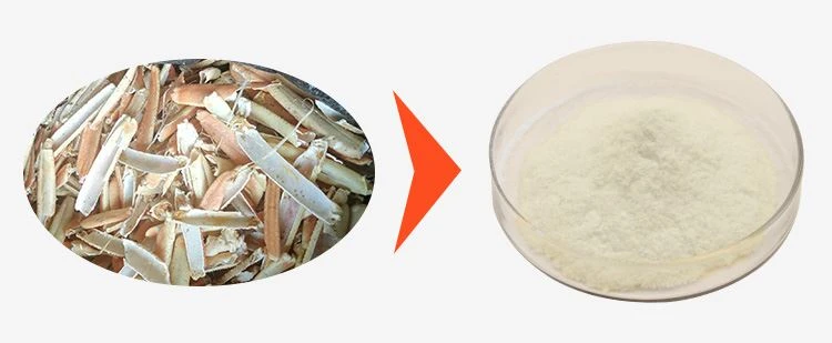 Chitosan Supplier 1 Chitosan Supplier 1