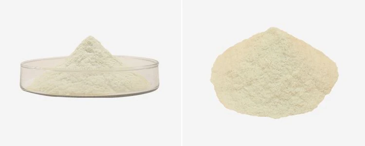 Chitosan Supplier 2 Chitosan Supplier 2