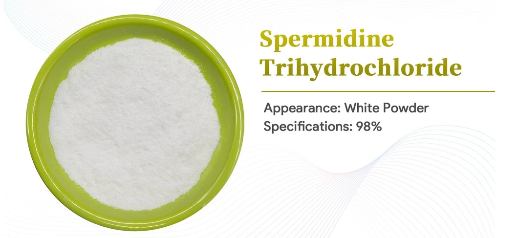 Spermidine Hydrochloride Spermidine Hydrochloride
