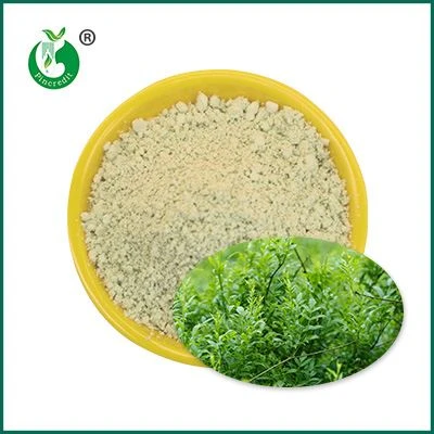 Dihydromyricetin Poud