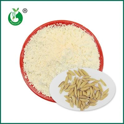 Gama Oryzanol Powder