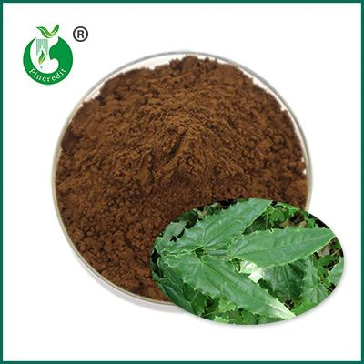 Icariin Powder Icariin Powder