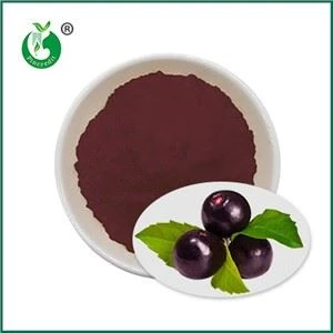 Acai Berry Ji Powder