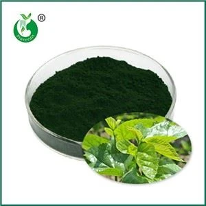 Ki sa ki Sodyòm Copper Chlorophyllin? Pou ki sa li itilize?