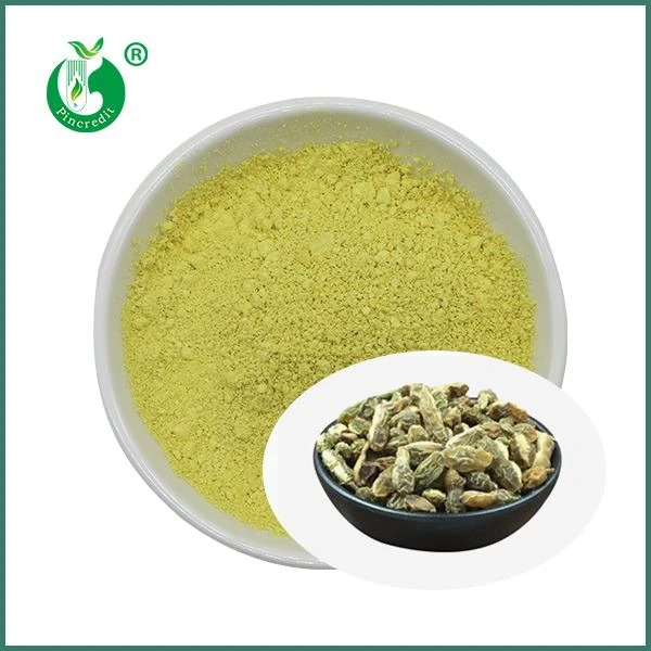 Wholesale Kaempferol Powder