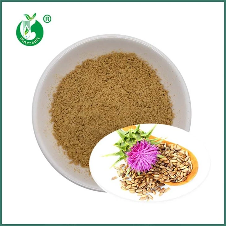 Lèt Thistle Grenn Extrait Silymarin Silybins
