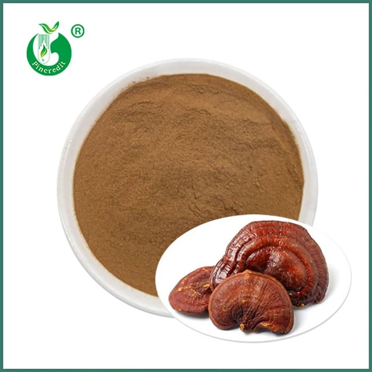 Reishi Ekstre Poud