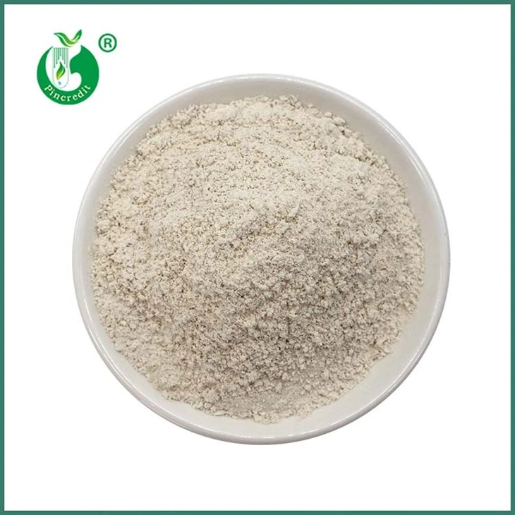 Trans Resveratrol Powder
